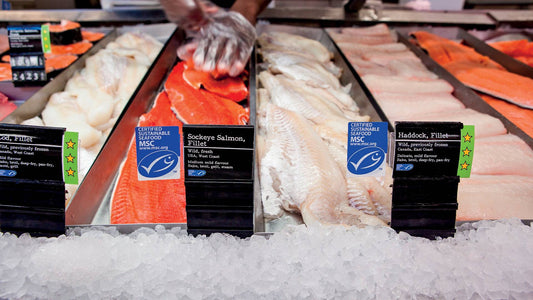New Country-of-Origin Labelling for Seafood Coming in July 2025 — What It Means for You