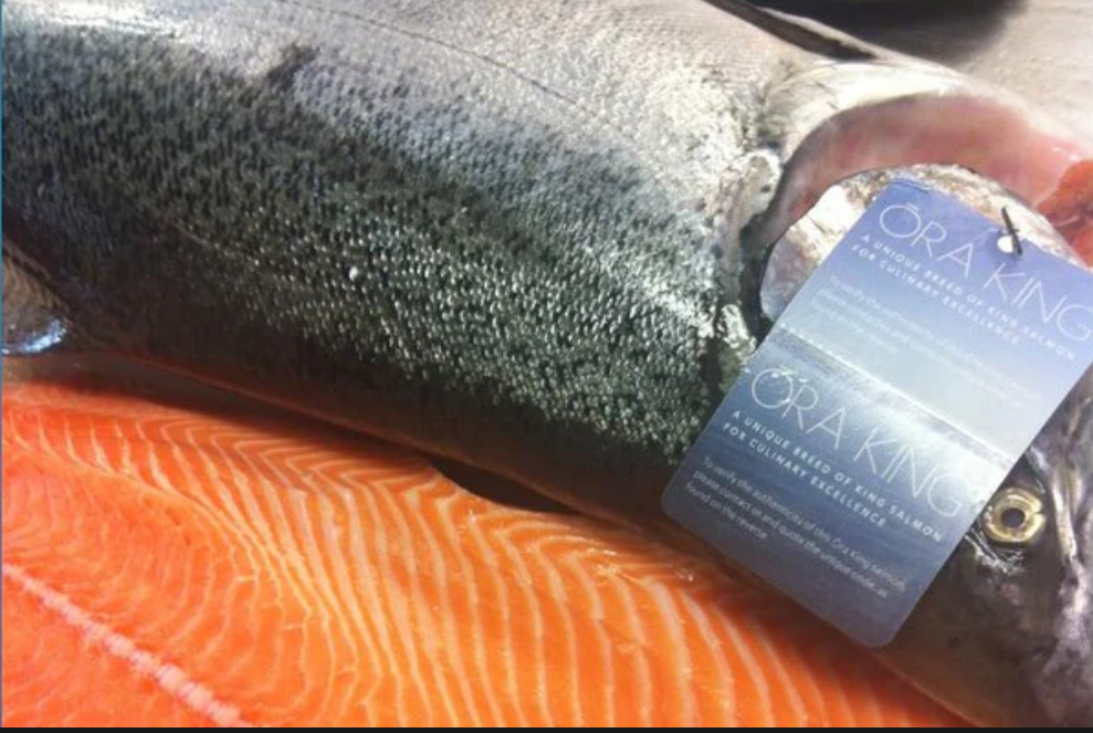 Ōra King 帝王鮭魚片