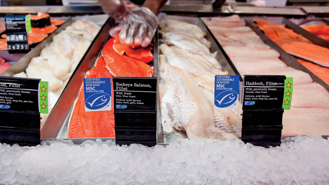 New Country-of-Origin Labelling for Seafood Coming in July 2025 — What It Means for You