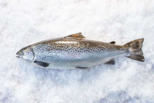 Tasmania Salmon Crisis: Safer Alternatives for Seafood Lovers