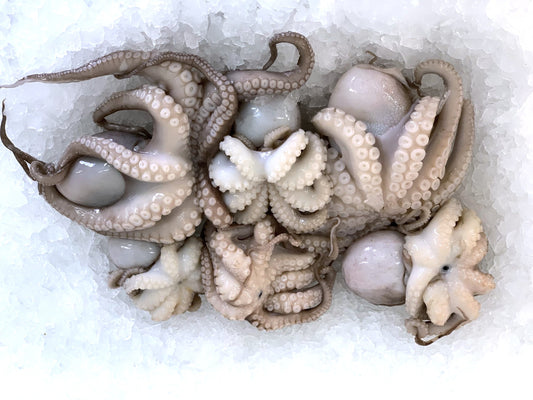 [Fresh] Tenderised Baby Octopus 400g