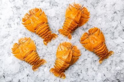 [Ready to Eat] Fresh Cooked Balmain Bug ea