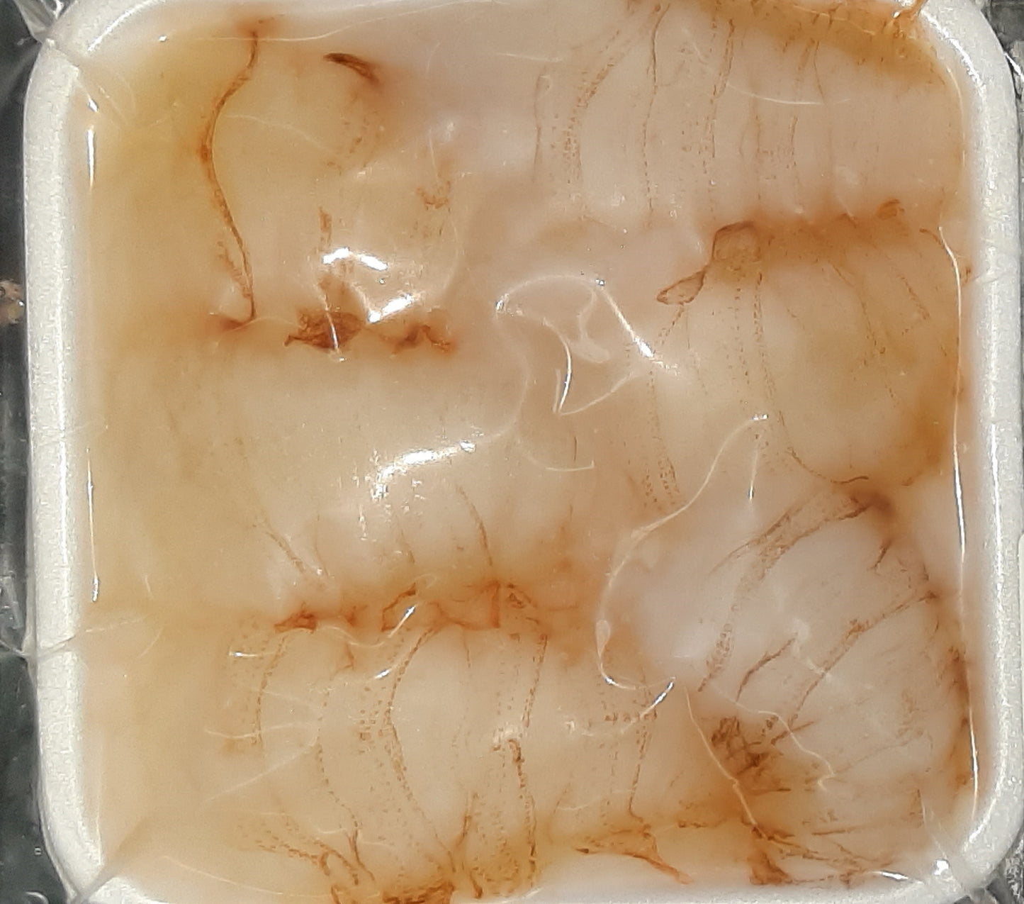 [Frozen Seafood] Raw Moreton Bay Bug Meat 280g