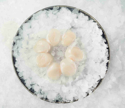 [Frozen] Japanese Extra Large Hokkaido Sahimi Grade Scallops 1kg