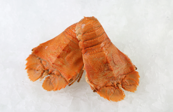 [Ready to Eat] Fresh Extra Large Cooked Moreton Bay Bug ea