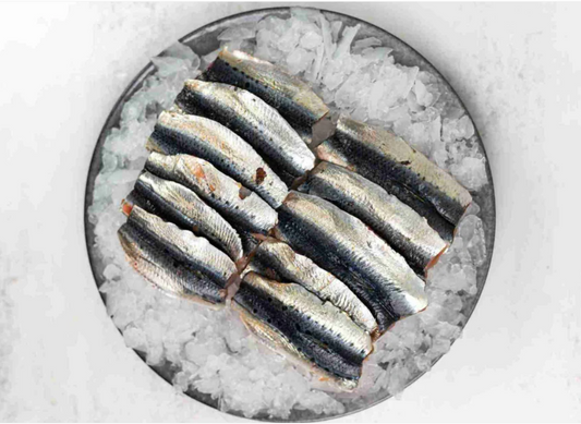 [Fresh] ProSeafoods Sardin Fillets 250g