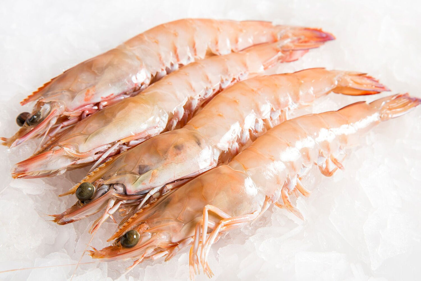 [Fresh] Fresh Raw Whole Ocean King Prawn