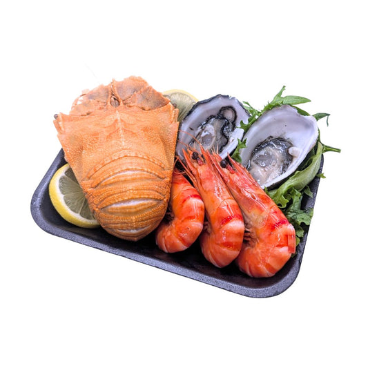 [Ready to Eat] Solo All in One Tray