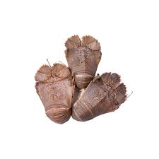 [Ready to Cook] Fresh Extra Large Raw Moreton Bay Bug ea