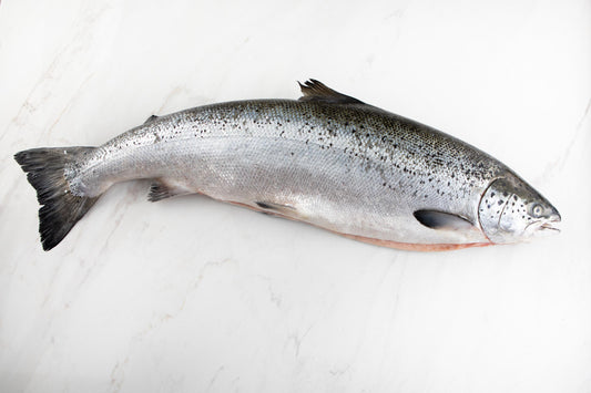 [Fresh] TAS Whole Salmon